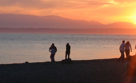 Golden Gardens