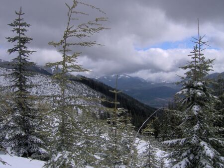 Ski de fond Mont Rainier