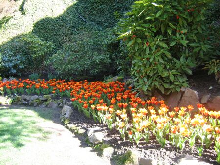 butchart gardens